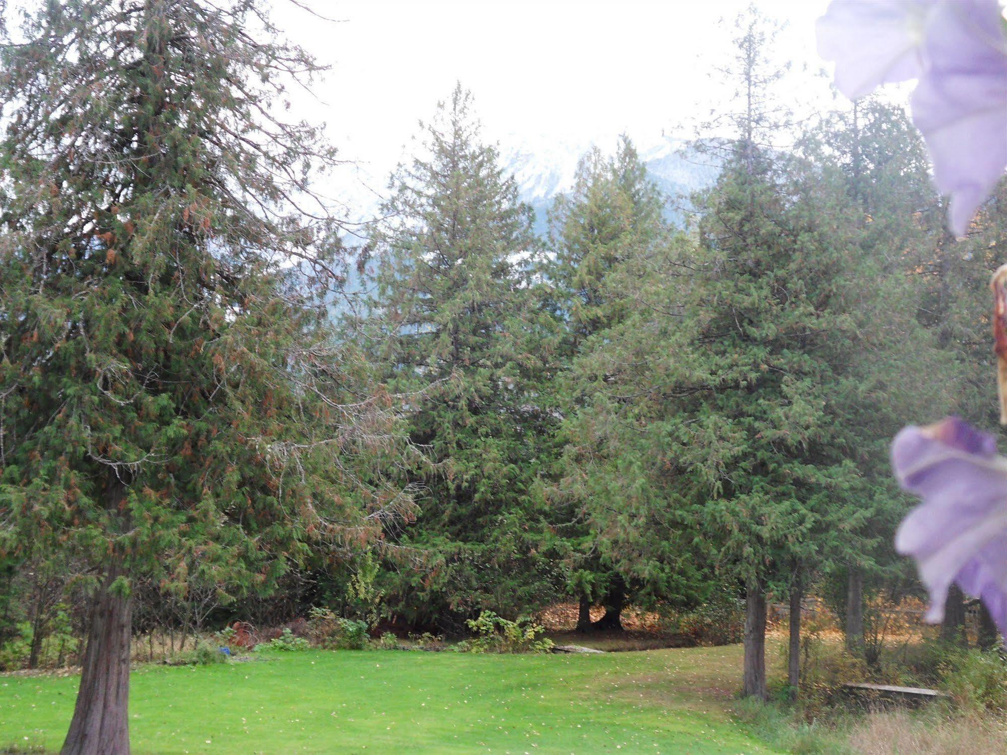 The Hitching Post Motel Pemberton Luaran gambar